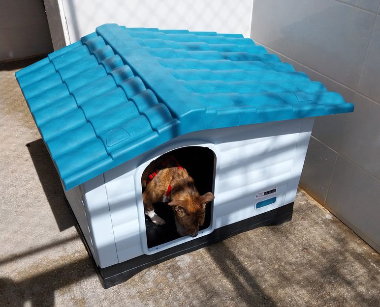 2_3Paletten_20260312-WA0004 2_3Paletten_20260312-WA0004