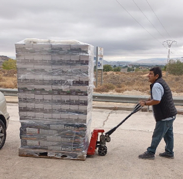 5_4Paletten-20250929-WA0009 5_4Paletten-20250929-WA0009