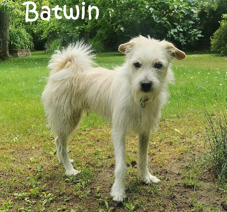 Batwin_20250607_104034_mN