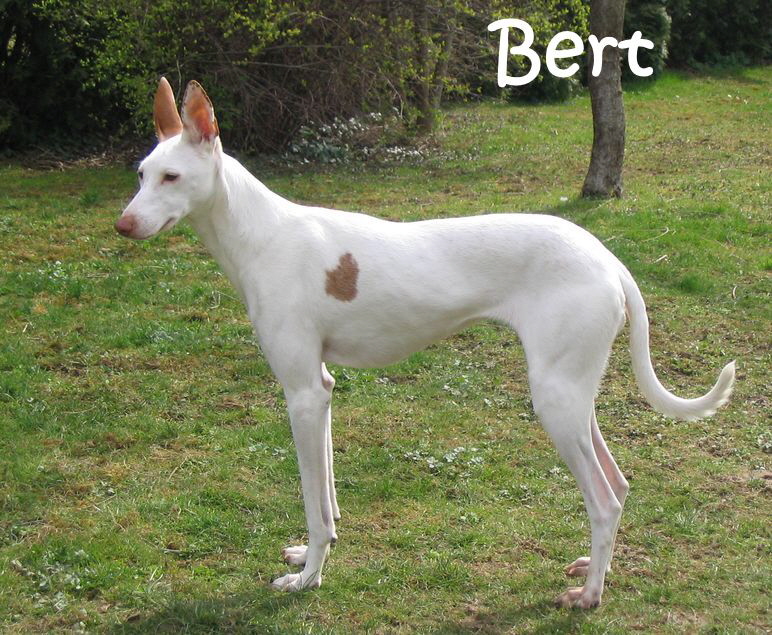 Bert_April2008 021