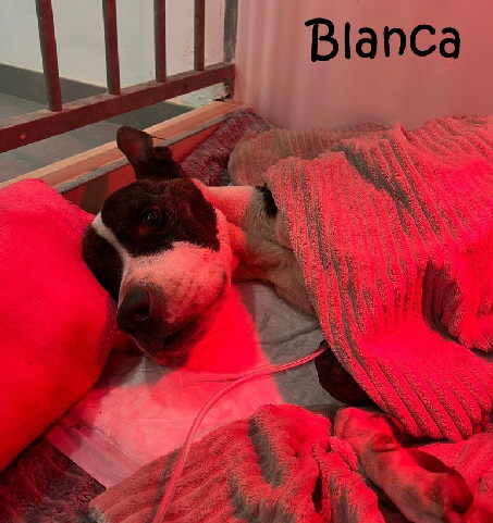 Blanca_IMG-20251009-WA0001_mN