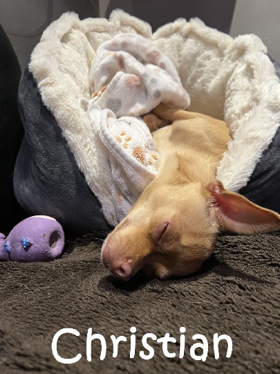 Christian_0348 Christian_0348