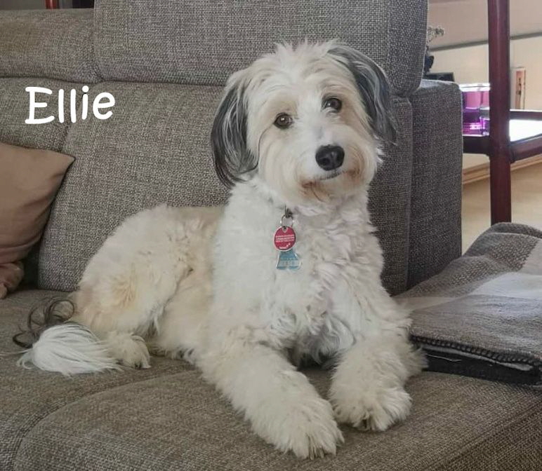 Ellie_20250427-WA0009