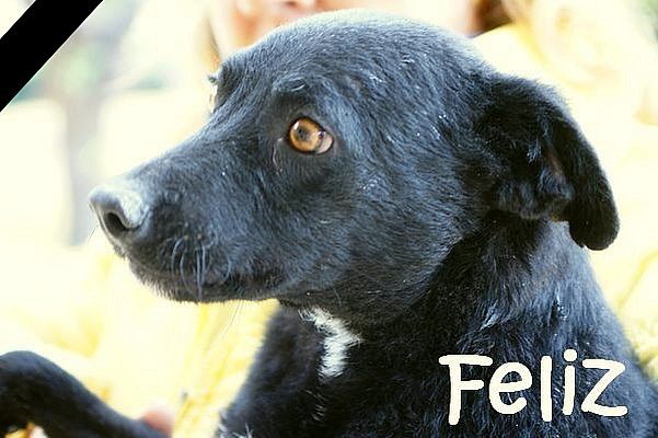 Feliz_DSC07073mN