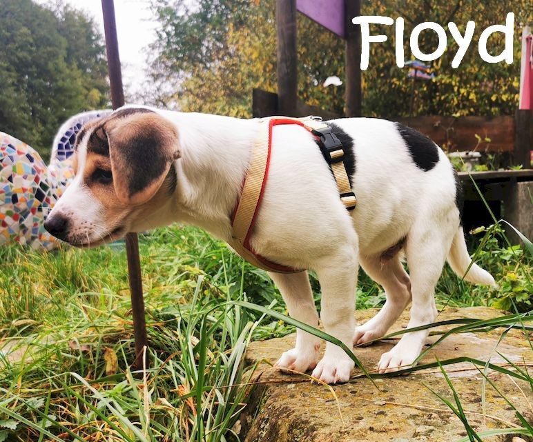 Floyd_20231026_132337_mN