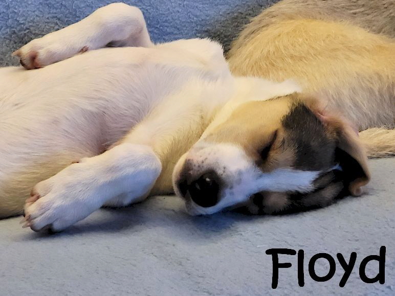 Floyd_20231107_165025_mN