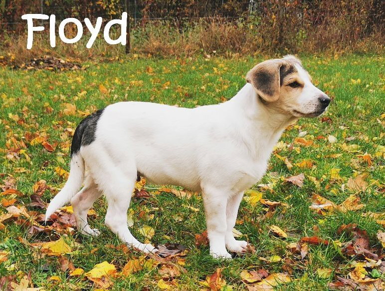 Floyd_IMG_20231113_120723_mN