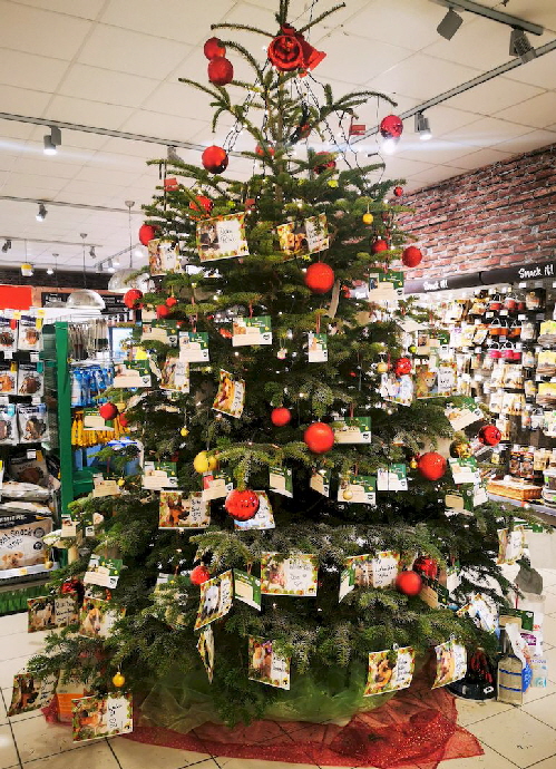 Fressnapf_Baum_20231123_153401
