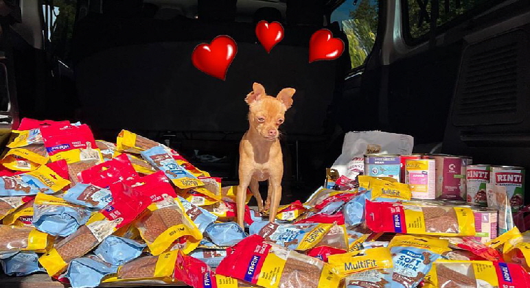 Fressnapf_IMG-20251014-WA0015 Fressnapf_IMG-20251014-WA0015