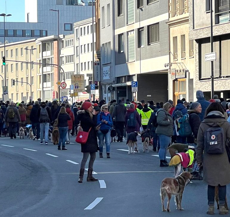 GalgoMarschKoeln_-20250201-WA0018