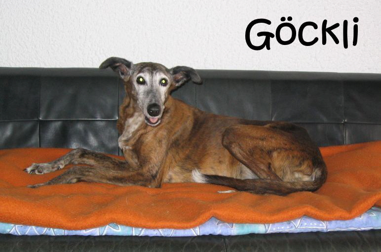 Goeckli 019