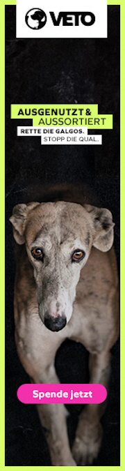 Homepagebanner_Galgo_180x675