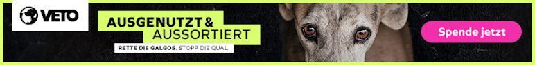 Homepagebanner_Galgo_772x95