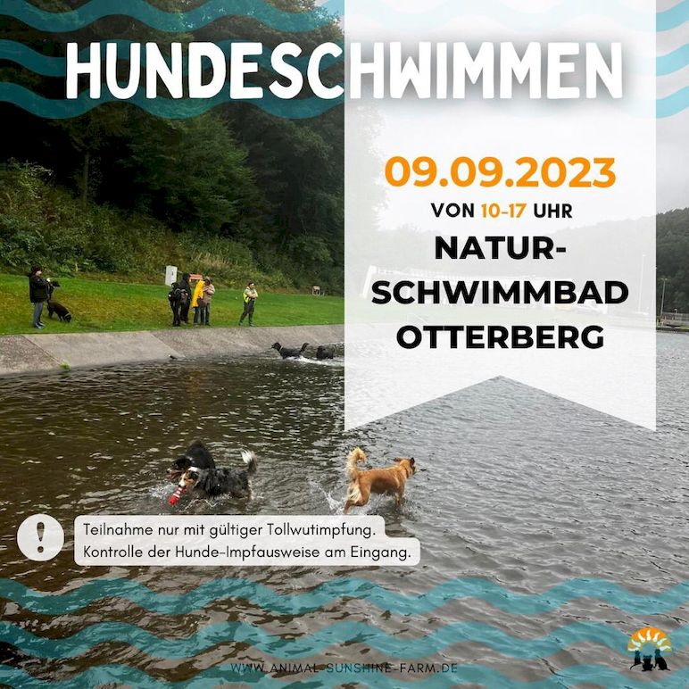 Hundeschwimmen_IMG-20230902-WA0016