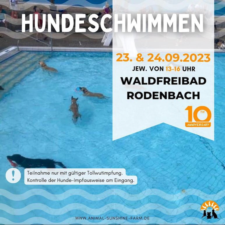 Hundeschwimmen_IMG-20230902-WA0017
