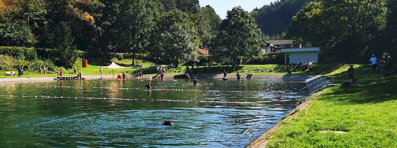 Hundeschwimmen_Otterberg_20230909_120500