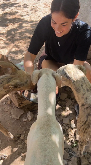 IMG-20250928-WA0040 IMG-20250928-WA0040