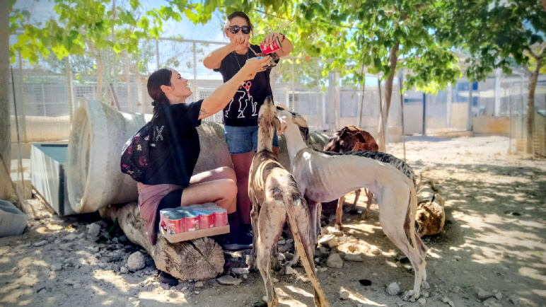 IMG-20250928-WA0053 IMG-20250928-WA0053