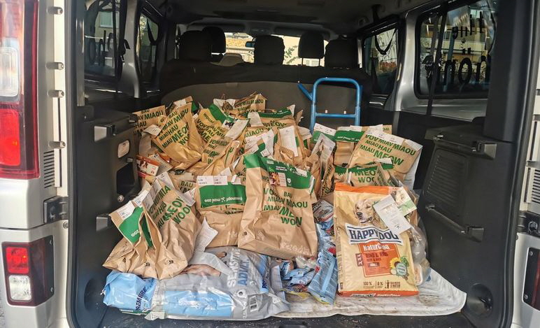 IMG_20251118_160618 IMG_20251118_160618