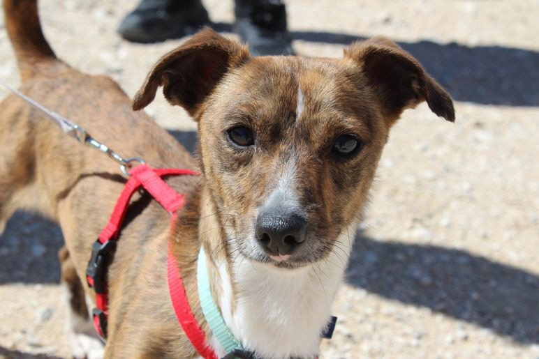 Jhayko_8391 Jhayko_8391