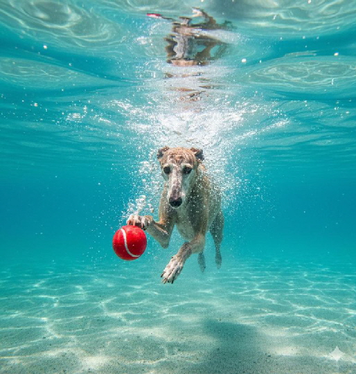 KI_IMG-20251108-WA0044 KI_IMG-20251108-WA0044