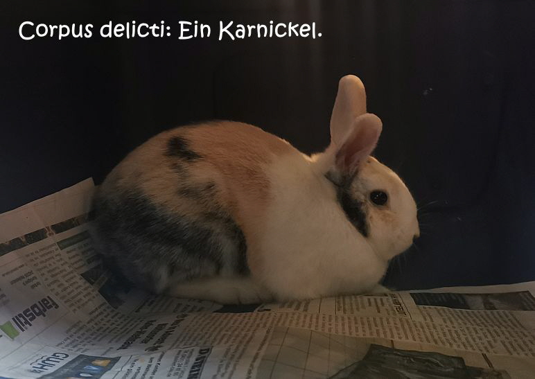 Karnickel__20250126_193320