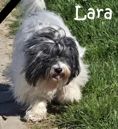 Lara-20260127-WA0001