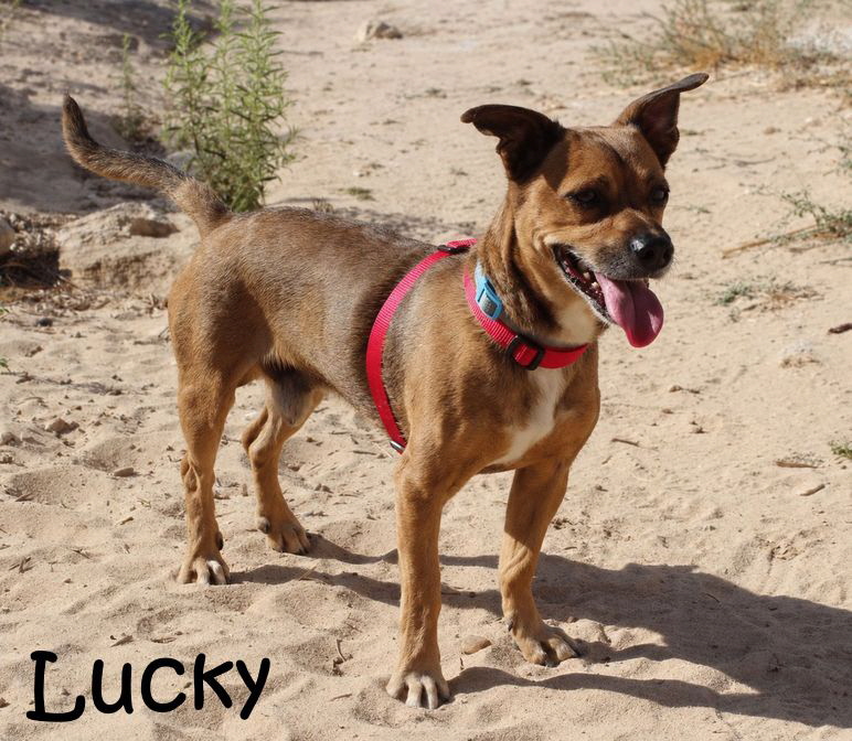 Lucky_IMG_1291_mN
