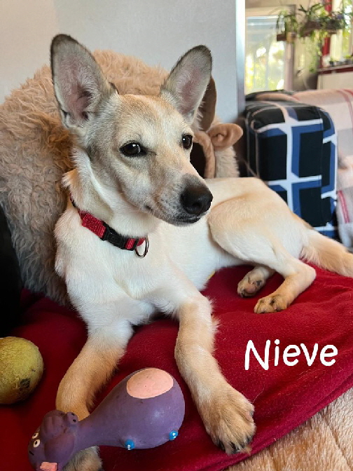 Nieve-20241130-WA0008_mN
