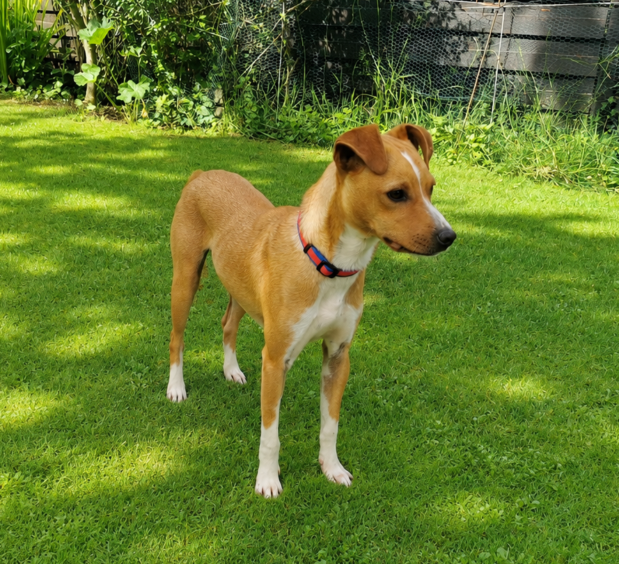 Otis_IMG_20260606_102601
