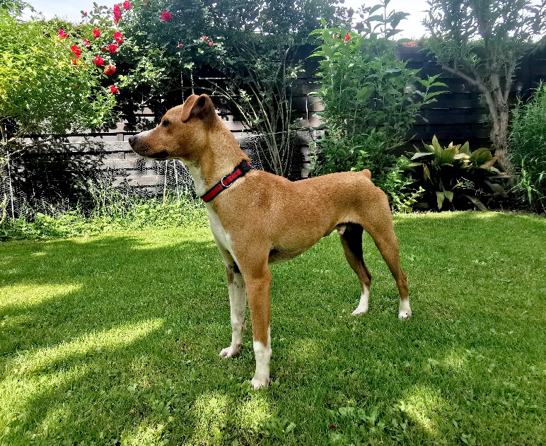Otis_IMG_20260606_102749