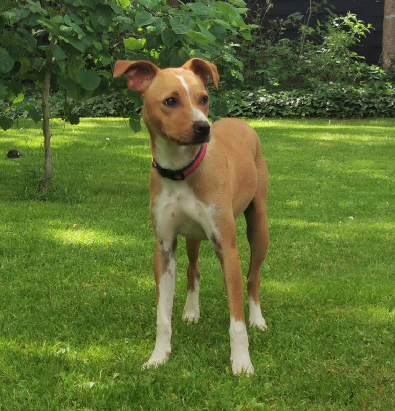 Otis_IMG_20260606_104208