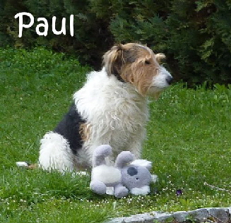 Paul_004-Bild2023.04.03 Paul_004-Bild2023.04.03