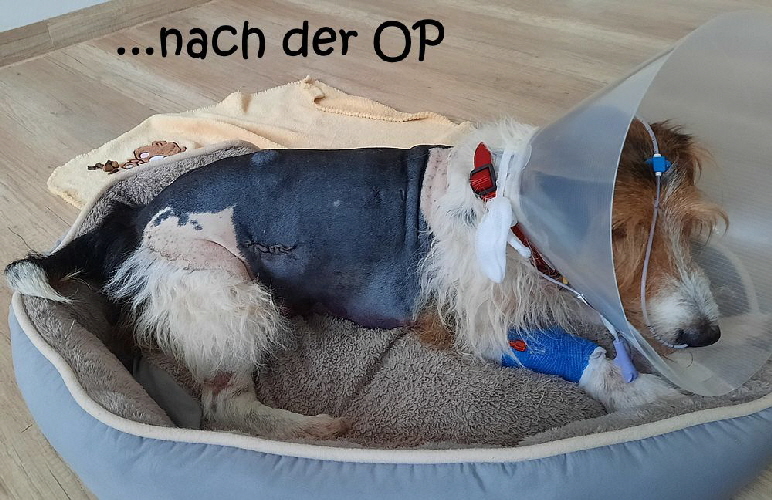 Paul_20251019_171952 Paul_20251019_171952