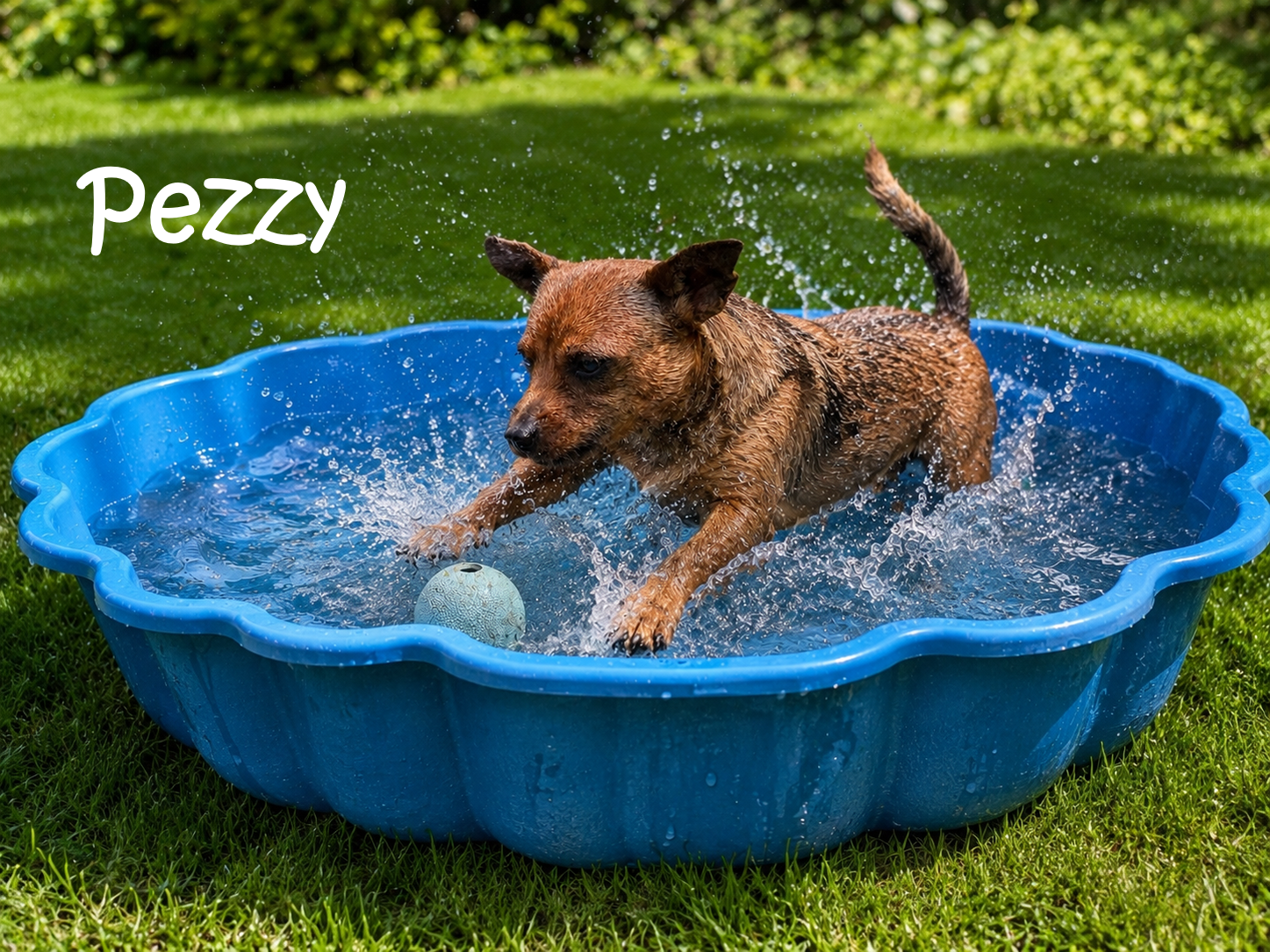 Pezzy_10 Pezzy_10