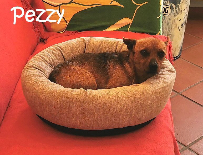 Pezzy_20260228_092932_edit_1376116476445224_mN Pezzy_20260228_092932_edit_1376116476445224_mN