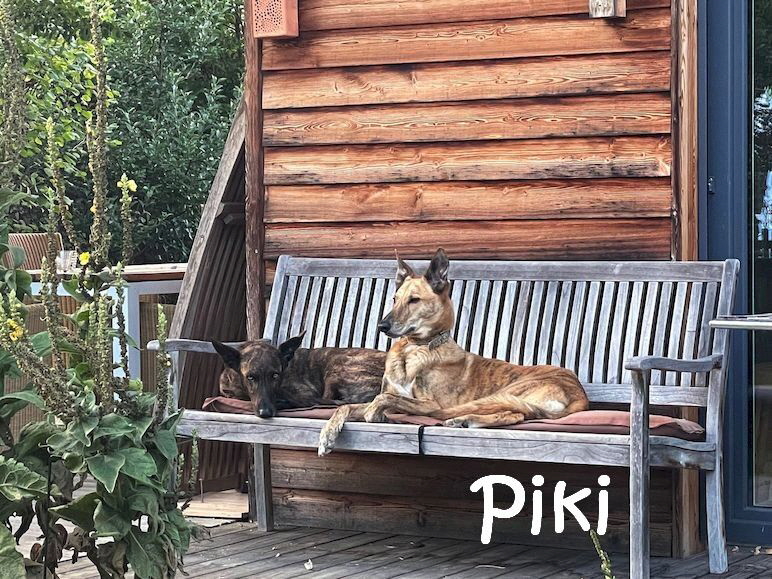 Piki_IMG_1957_mN
