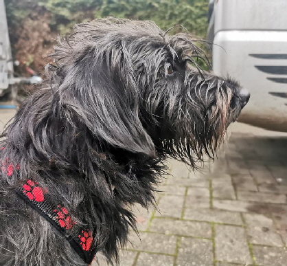 Sahara_20251213_150805