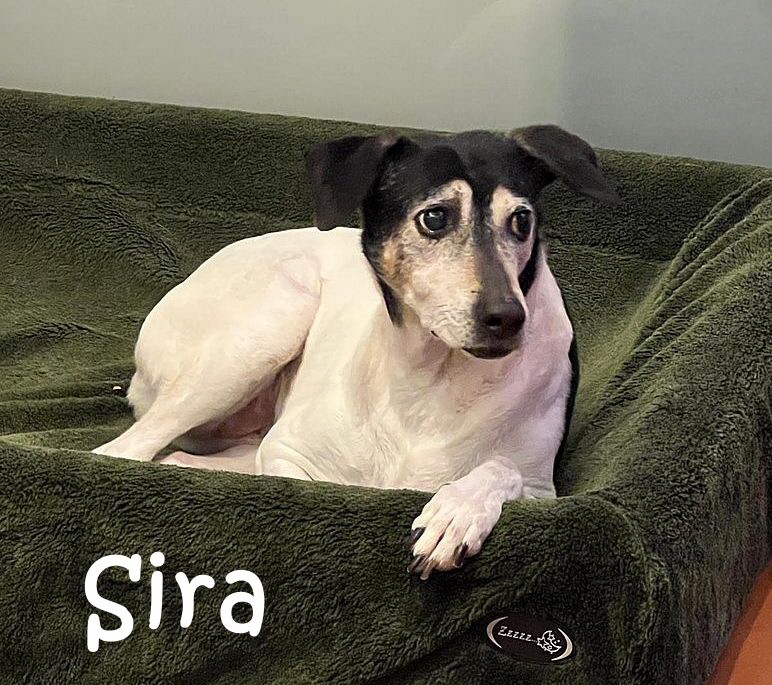 Sira-20260918-WA0000