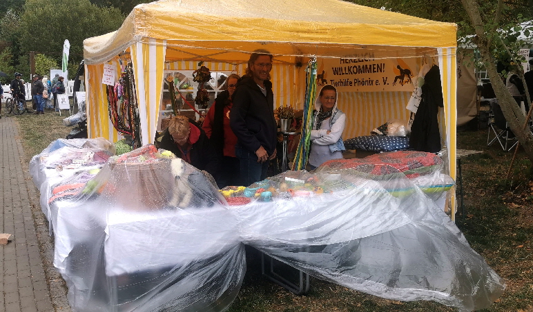 Soonwald-Erlebnistag_IMG_20260920_140044