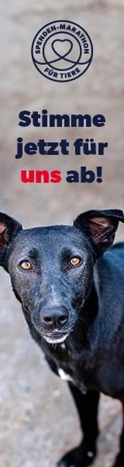 Spenden-Marathon-Hund-hochkant_160x600