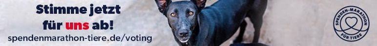 Spenden-Marathon-Hund-waagerecht_728x90