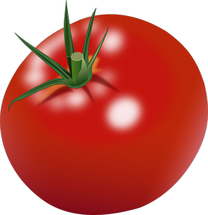 Tomate_300x309