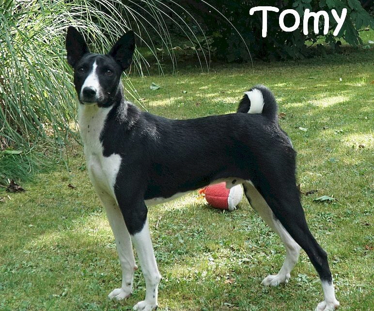 Tomy_8059_mN
