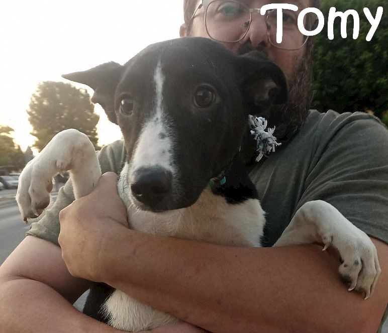 Tomy_IMG-20230718-WA0009_mN