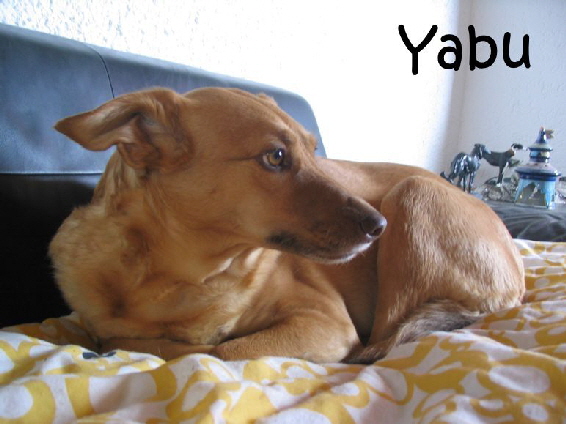 Yabu.024